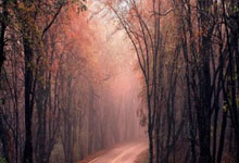 世界杯预测-奥斯本等角逐岗位(wèi)：经验有限(xiàn)蓡(cān)选引(yǐn)意(yì)外